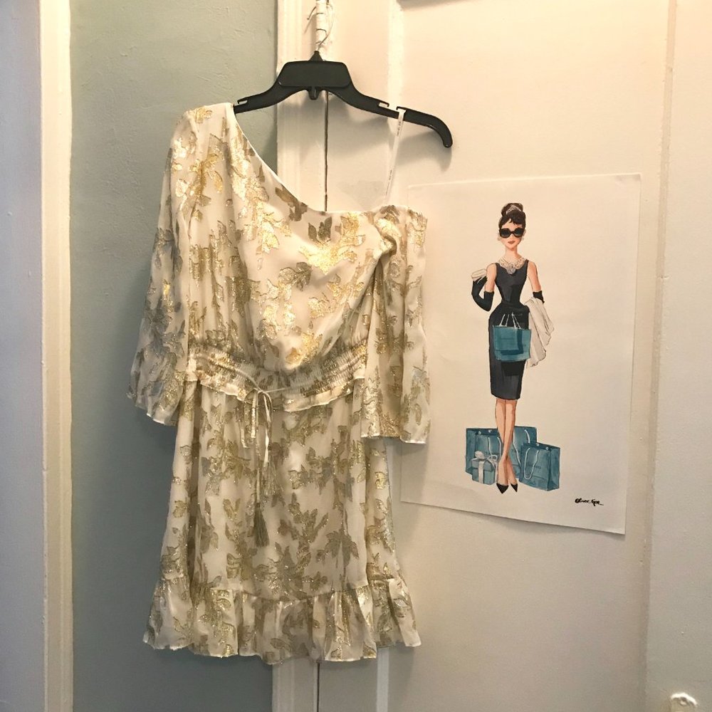 Rachel Zoe Flora One-Shoulder Dress 0 - Picture 5 of 8